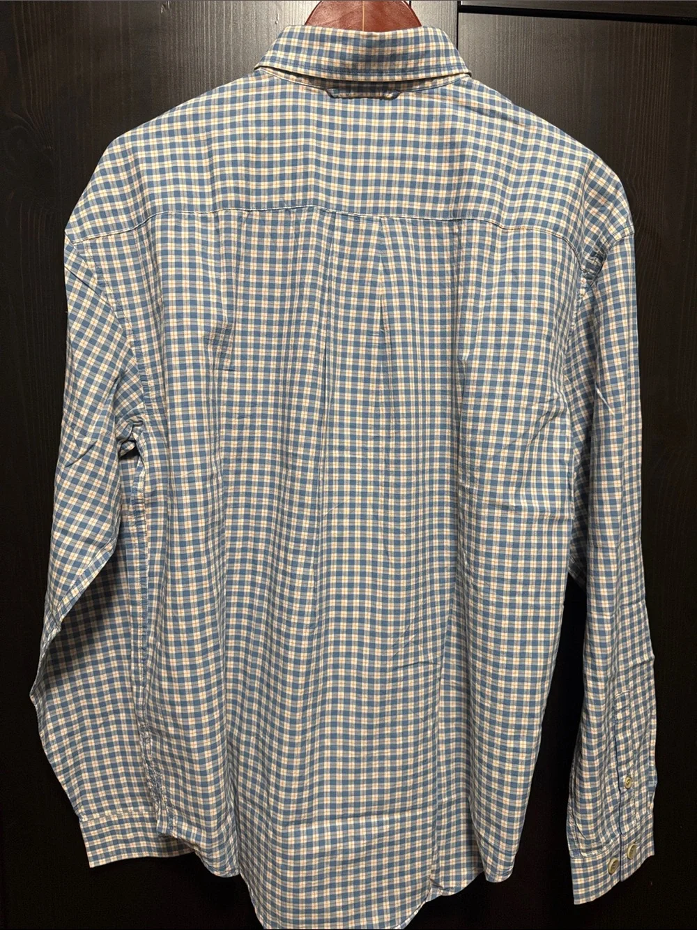 Banana Republic Blue and White Check Cotton Button-Down Shirt